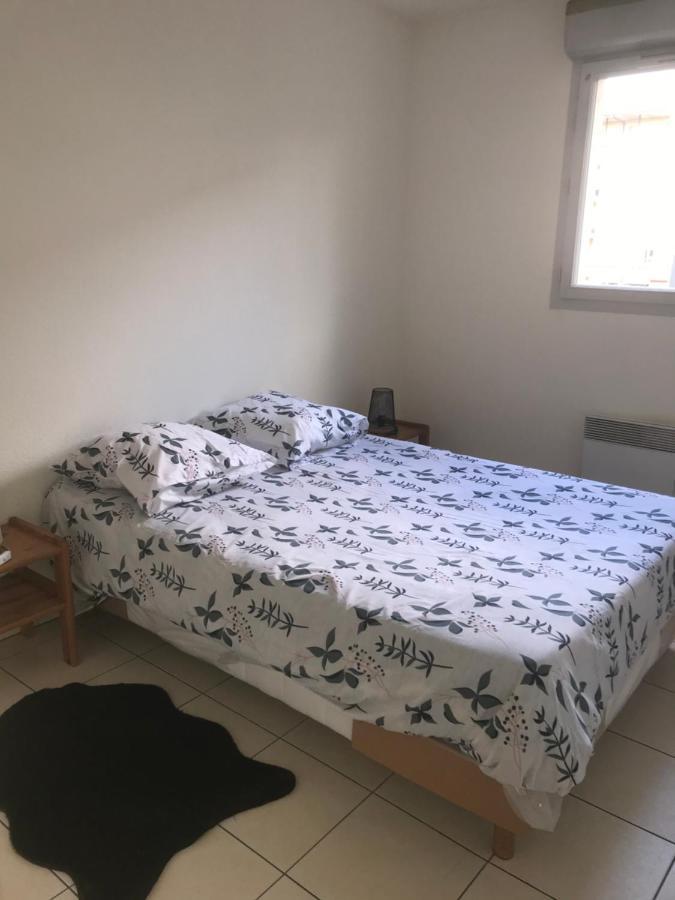 Appartement Entier T2 Avec Piscine Paradis Entierement Meuble Proche Metro Tuluza Zewnętrze zdjęcie