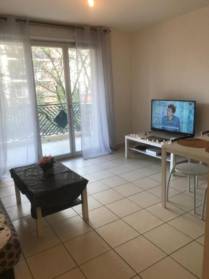 Appartement Entier T2 Avec Piscine Paradis Entierement Meuble Proche Metro Tuluza Zewnętrze zdjęcie
